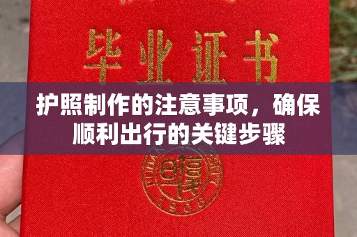 固始护照制作的注意事项，确保顺利出行的关键步骤
